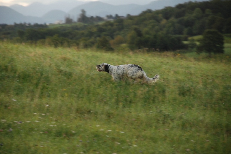 La chasse