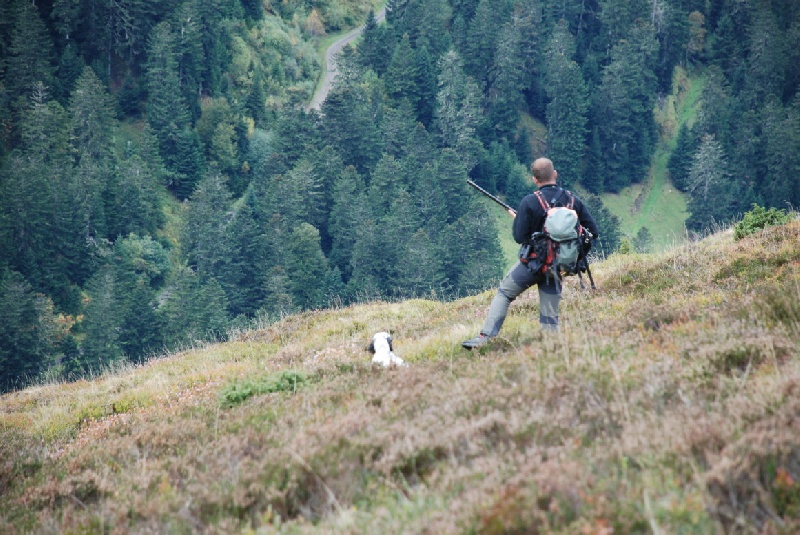 Montagne 2009